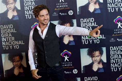 david bisbal net worth|David Bisbal Net Worth